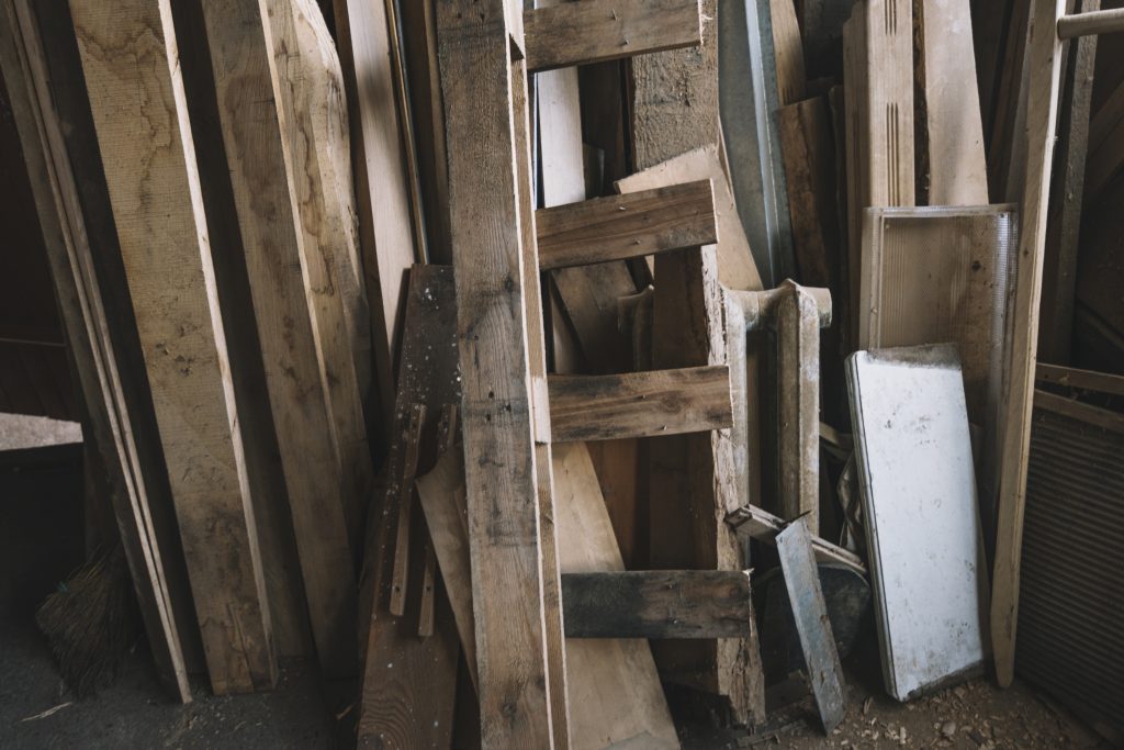 Tarli del Legno Strategie Efficaci per la Disinfestazione Domestica